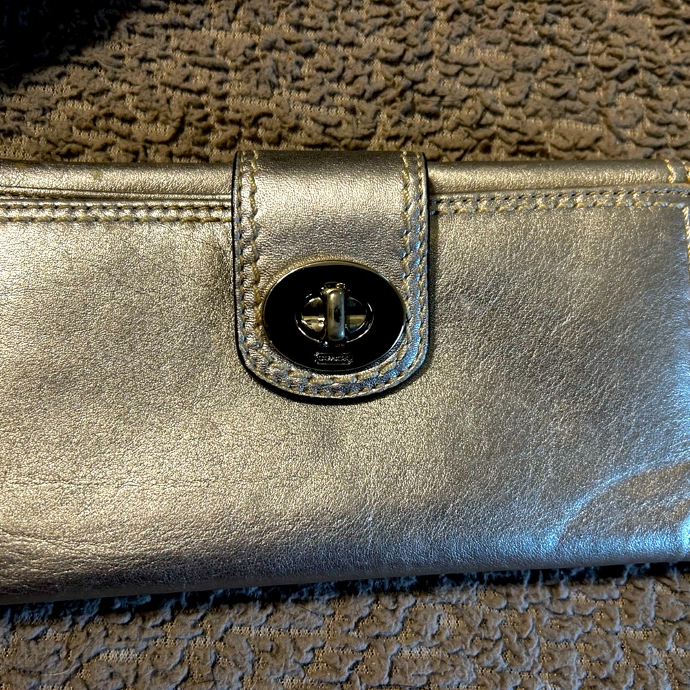 Brand New No Tags Beautiful Grayish Silver with lavender lining.. Lots of room